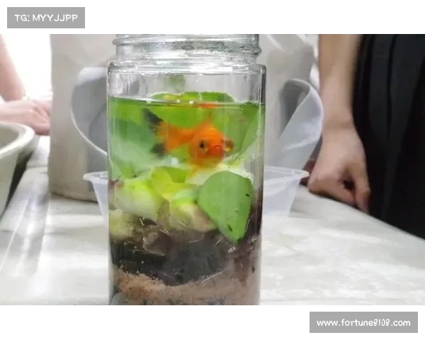 冰鳞蓝鱼的神秘魅力与深海生态保护探索之路 冰鳞蓝鱼的神秘魅力与深海生态保护探索之路
