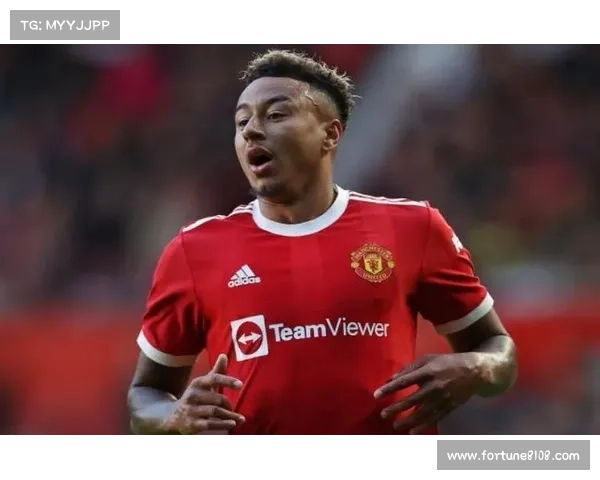 从林加德被调侃现象看公众人物舆论压力与理性应对策略研究