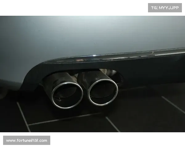 如何判断巴舒亚伊使用哪种语言进行交流的方法和技巧